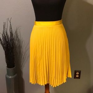 Pleated skirt